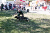 Blaulichttag_29_08_2015-110